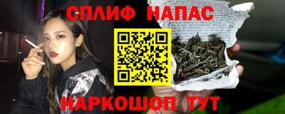 наркотики Кингисепп